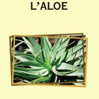 L’aloe (T. 271)