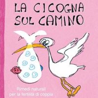 La cicogna sul camino